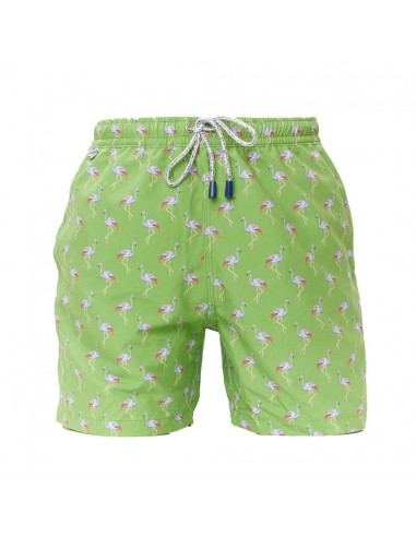 MS4706 - Flamingo Khaki pas cher chine