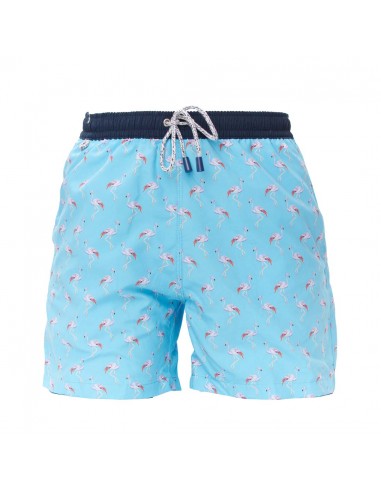 MS4705 - Flamingo turquoise Amélioration de cerveau avec