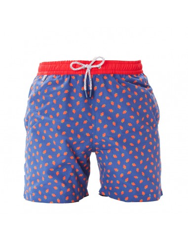 MS4513 - Fraise bleu destockage