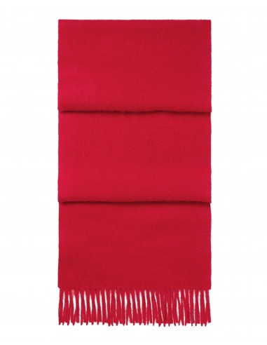 Unisex Woven Cashmere Scarf Riding Red s'inspire de l'anatomie humaine